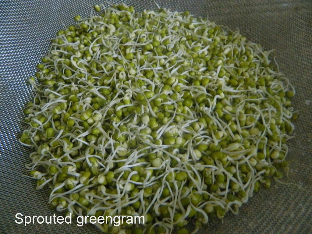 How to sprout Green Gram /Horse Gram/pulses Geeths Dawath