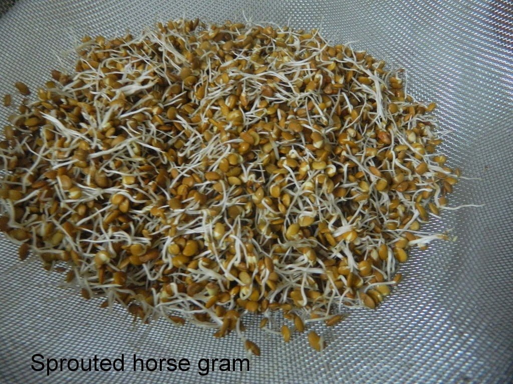 How to sprout Green Gram /Horse Gram/pulses Geeths Dawath